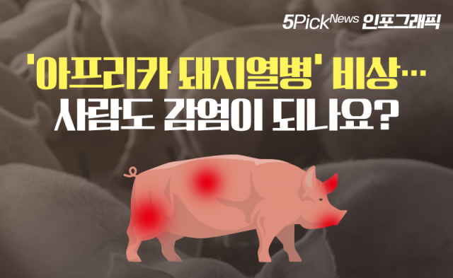 ‘아프리카 돼지열병’ 비상···사람도 감염이 되나요?