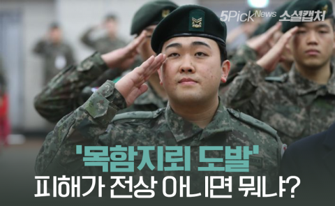 “‘목함지뢰 도발’ 피해가 전상 아니면 뭐냐?”