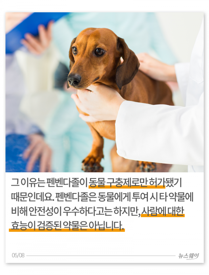 개 구충제로 암을 치료한다? 기사의 사진