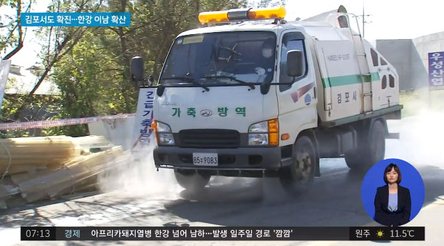 경기도 파주서 ‘아프리카돼지열병’ 네번째 확진 판정. 사진=JTBC 뉴스 캡쳐