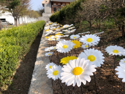 한국도자재단, 비엔날레 관람객 참여 이벤트 ‘세라믹플라워가든-평화의 꽃 만들기’ 진행