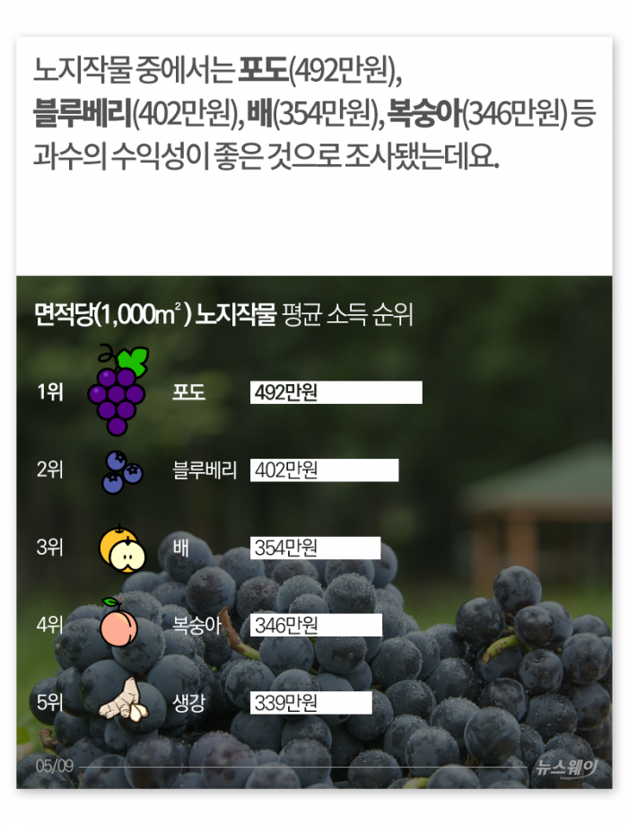면적당 따져보니···소득 1위 농산물은 ‘이 과일’ 기사의 사진