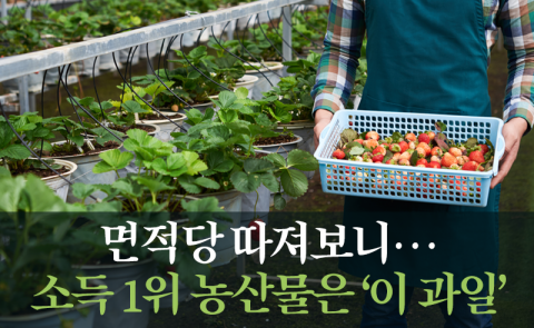 면적당 따져보니···소득 1위 농산물은 ‘이 과일’