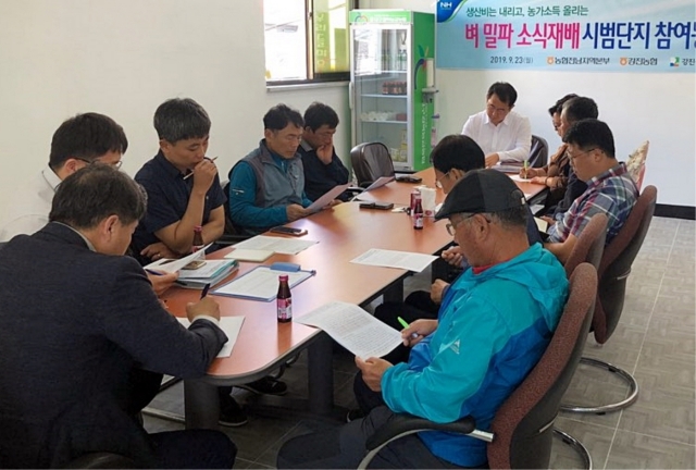 전남농협, ‘벼 밀파 소식(疎植)재배 간담회’ 개최