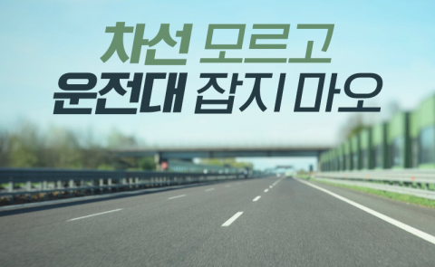 차선 모르고 운전대 잡지 마오