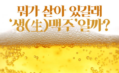 뭐가 살아 있길래 '생(生)맥주'일까?