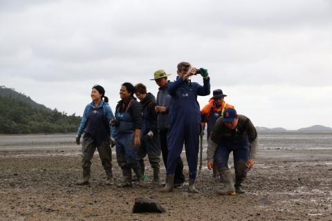 신안·순천·보성 등 ‘한국의 갯벌’ 세계자연유산 등재 전망 밝아