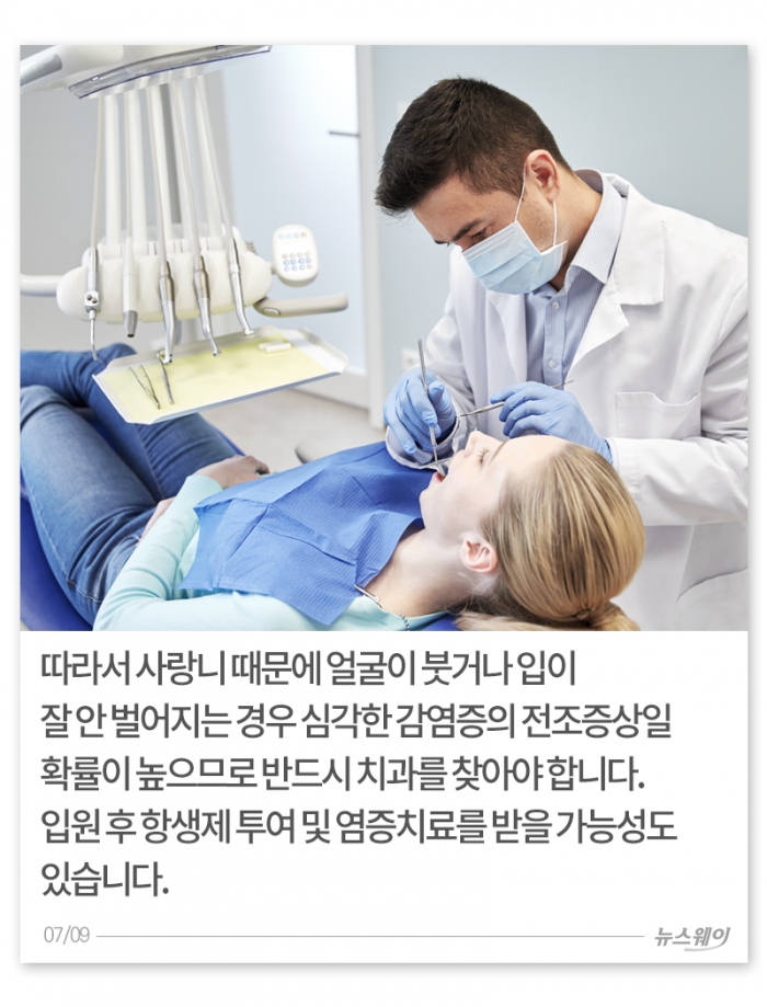 사랑도 못 해봤는데 사랑니는 왜 나니 기사의 사진