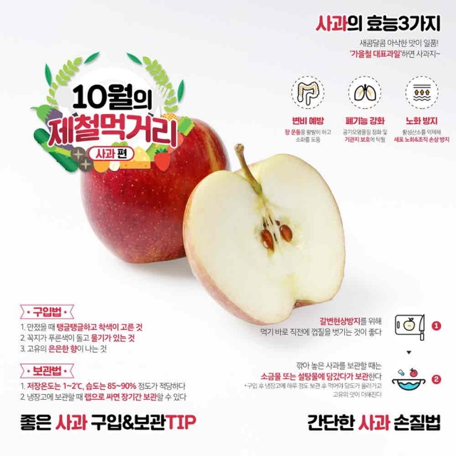 “한국인이 가장 사랑하는 과일 ‘사과’, 지금 맛보세요!”