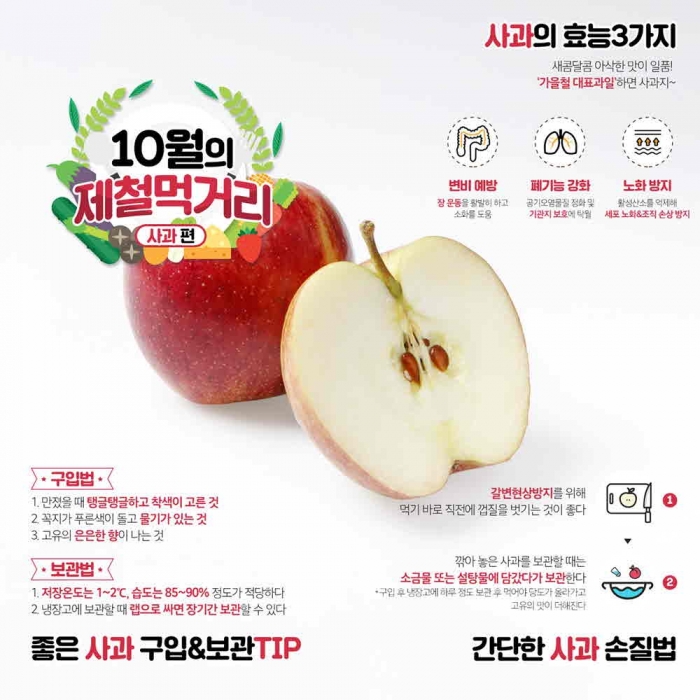 “한국인이 가장 사랑하는 과일 ‘사과’, 지금 맛보세요!” 기사의 사진