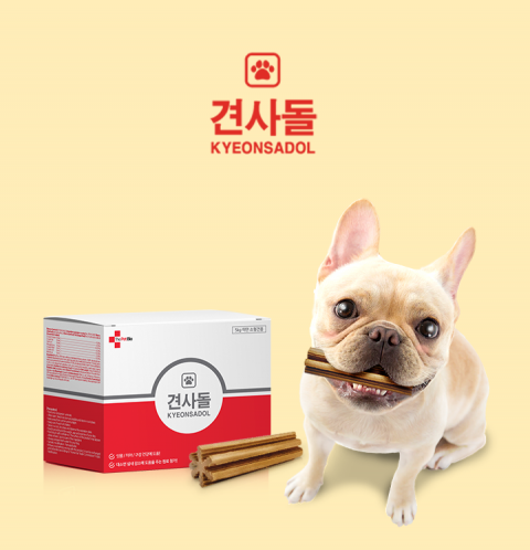 오퀴즈 천만원이벤트, 1+1 더블찬스 ‘견사돌’ 초성 퀴즈···‘ㅎㅂㅎ ㅂㄹㅅㅎ’ 정답은?