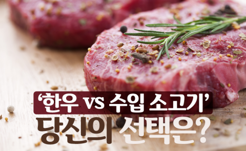 ‘한우 vs 수입 소고기’···당신의 선택은?