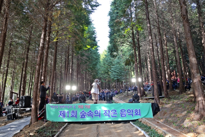 고흥군이 29일 팔영산 편백 치유의 숲에서 ‘제1회 팔영산 숲속의 작은음악회’를 개최하고 있다.