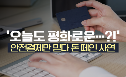 ‘오늘도 평화로운···?!’ 안전결제만 믿다 돈 떼인 사연