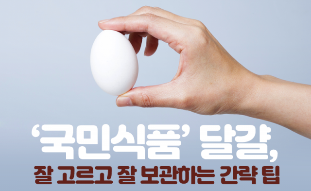 ‘국민식품’ 달걀, 잘 고르고 잘 보관하는 간략 팁