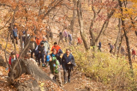 의왕시, ‘두발로 데이 행사’ 개최