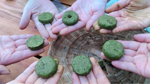 장흥 청태전, 소비자 초청 팜파티 큰 호응