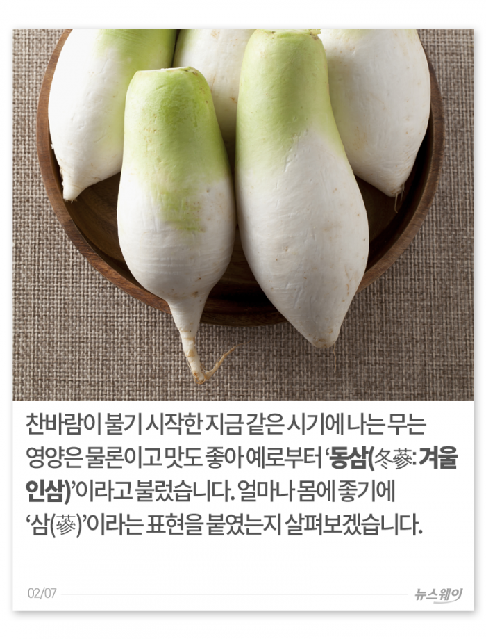 마! 니 겨울 인삼 ‘무’봤나 기사의 사진