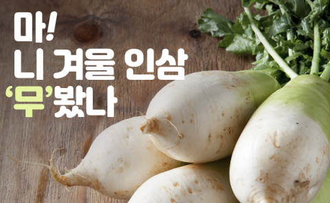 마! 니 겨울 인삼 ‘무’봤나