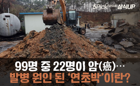 99명 중 22명이 암(癌)···발병 원인 된 ‘연초박’이란?