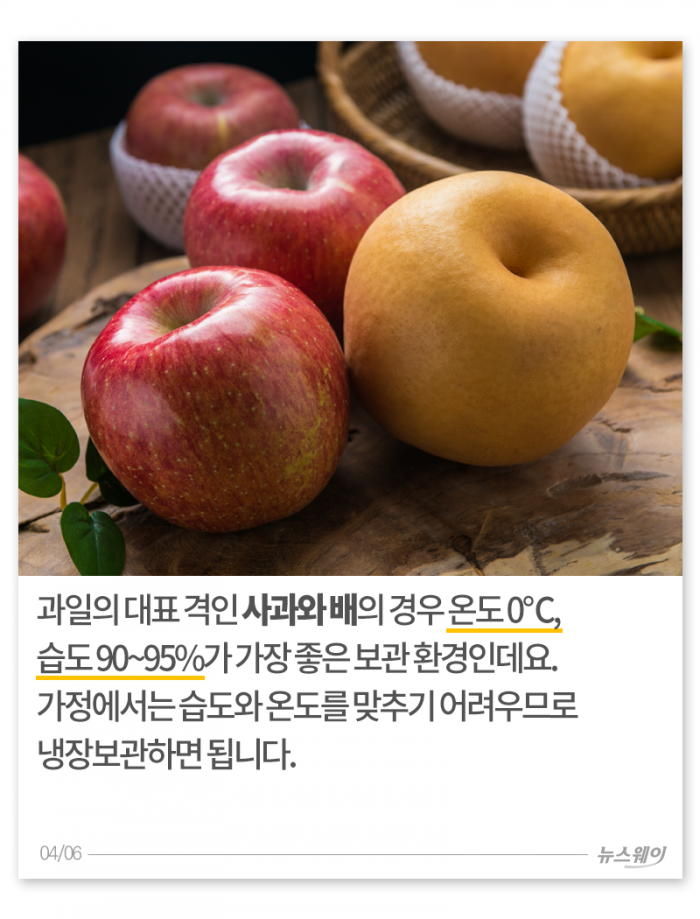 과일 제대로 보관하기 ‘귤은 냉장, 바나나는···’ 기사의 사진