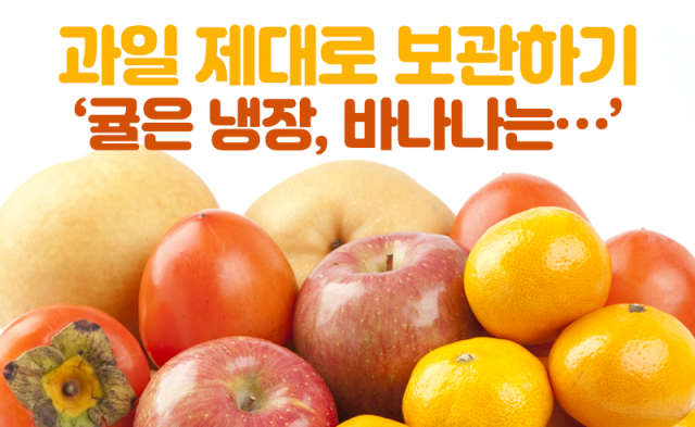 과일 제대로 보관하기 ‘귤은 냉장, 바나나는···’