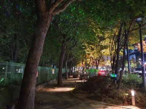 영등포구 “선유도 공원 길, 밤이면 반딧불이 수 백 마리가 가로수 밝혀”