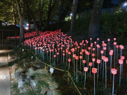 선유도 입구 가로공원에 설치된 천송이 장미 조명. 사진=영등포구