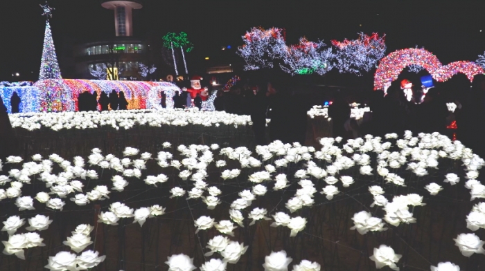 보성군, ‘제17회 보성차밭 빛 축제’ 준비에 구슬땀 기사의 사진