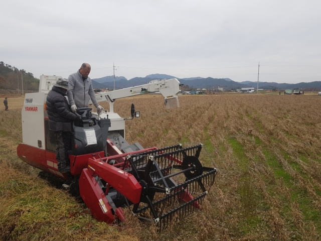 곡성군, 논 타작물 재배 확대를 위한 논콩 전용수확기 보급