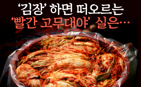 ‘김장’ 하면 떠오르는 ‘빨간 고무대야’, 실은···