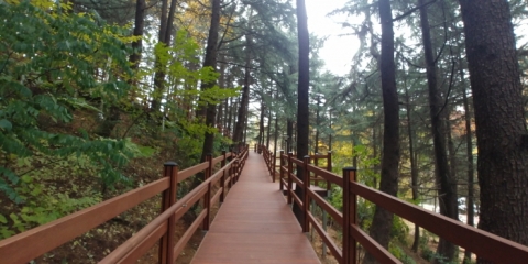 인천 미추홀구, 수봉공원 무장애나눔길 조성사업 준공