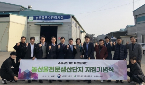 무안양파, 안정적인 생산·수출 날개 달다