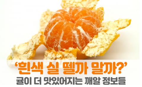 ‘흰색 실 뗄까 말까?’ 귤이 더 맛있어지는 깨알 정보들