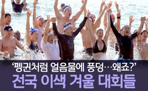 ‘펭귄처럼 얼음물에 풍덩···왜죠?’ 전국 이색 겨울 대회들