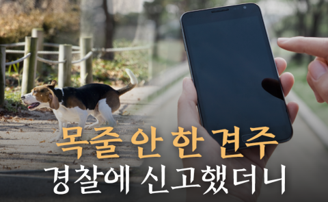 목줄 안 한 견주 경찰에 신고했더니