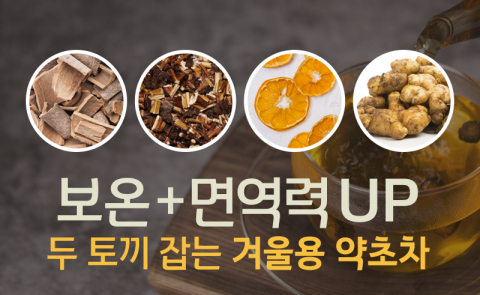 ‘보온+면역력’ 두 토끼 잡는 겨울용 약초차
