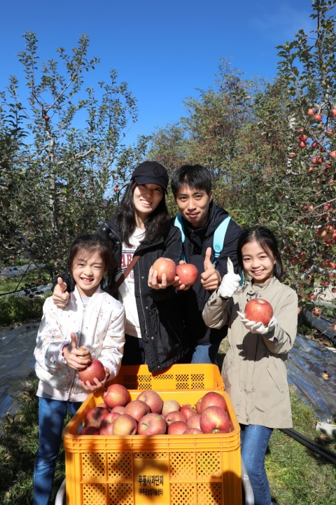 무주군,반딧불사과 분양 신청 접수