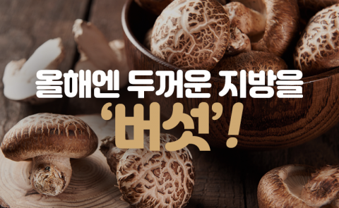올해엔 두꺼운 지방을 ‘버섯’!