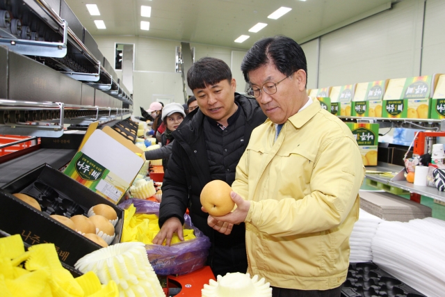 강인규 나주시장, 설 명절 앞두고 나주배 선과장 방문