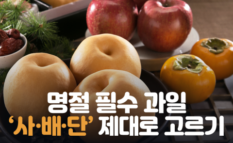 명절 필수 과일 ‘사·배·단’ 제대로 고르기