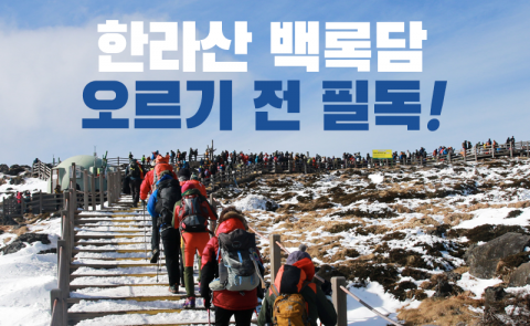 한라산 백록담 오르기 전 필독!