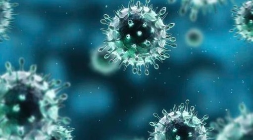 코로나바이러스 사람간 전염 확인···악수 등 신체적 접촉 피해야