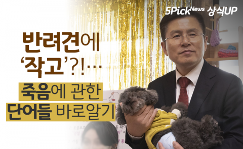 반려견에 ‘작고’?!···죽음에 관한 단어들 바로알기