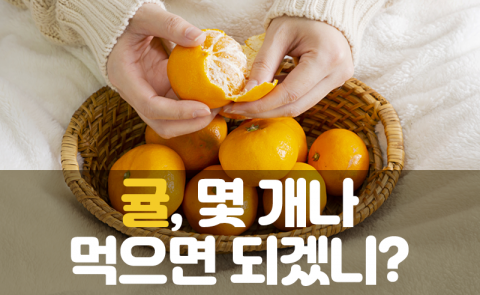귤, 몇 개나 먹으면 되겠니?