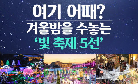 여기 어때? 겨울밤을 수놓는 ‘빛 축제 5선’