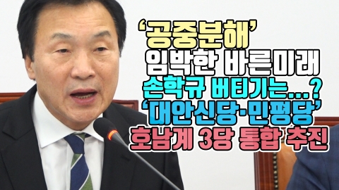 ‘공중분해’ 임박한 바른미래, 손학규 버티기는...?···‘대안신당·민평당’ 호남계 3당 통합 추진