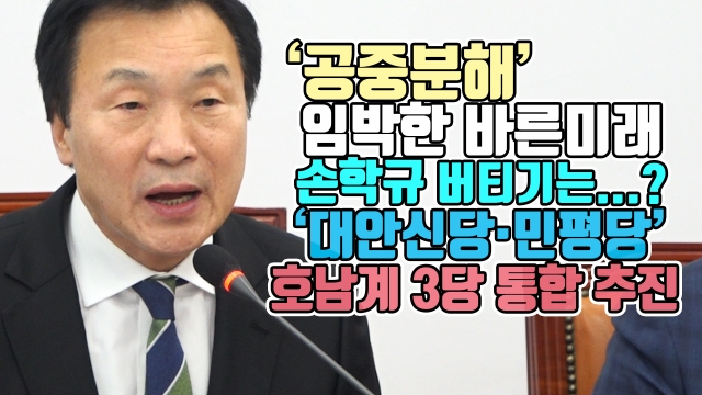 ‘공중분해’ 임박한 바른미래, 손학규 버티기는...?···‘대안신당·민평당’ 호남계 3당 통합 추진