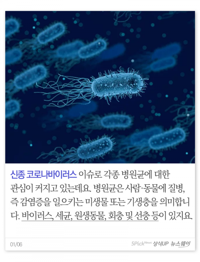 헷갈리는 ‘세균’과 ‘바이러스’···정체가 뭐길래 기사의 사진