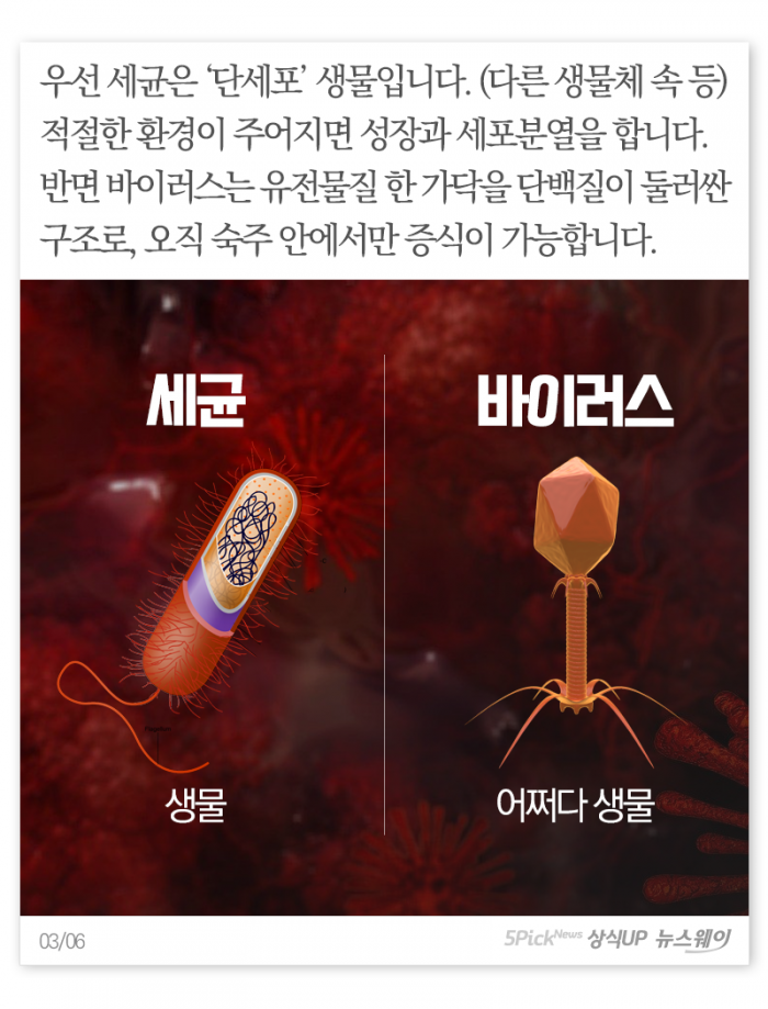 헷갈리는 ‘세균’과 ‘바이러스’···정체가 뭐길래 기사의 사진
